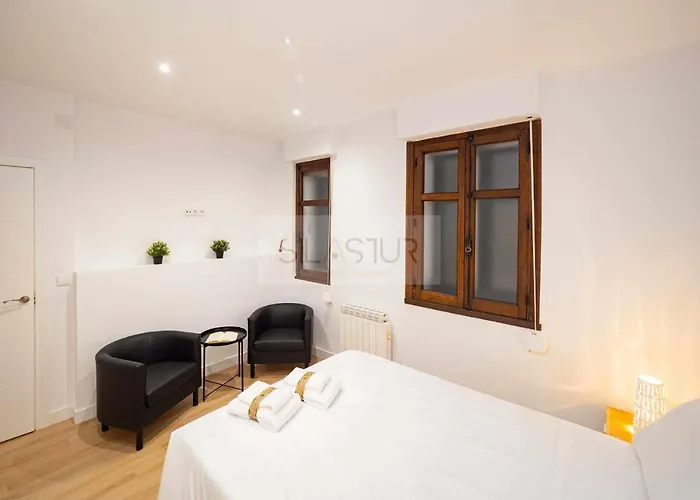 Asturches Apartamento Gijón